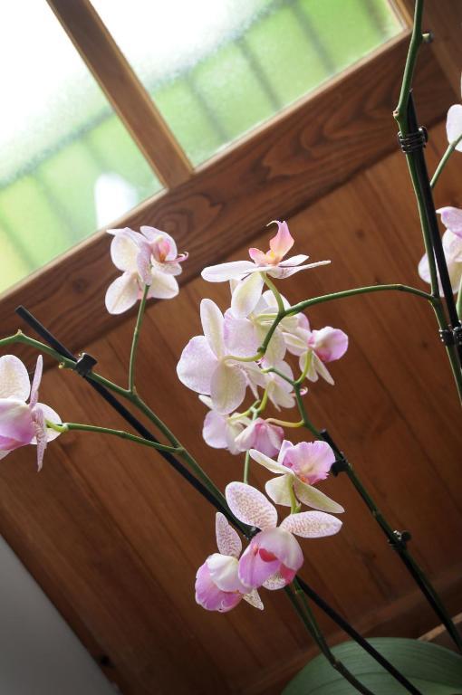 Cadouin Les Songes De L'Abbaye Bed & Breakfast 部屋 写真